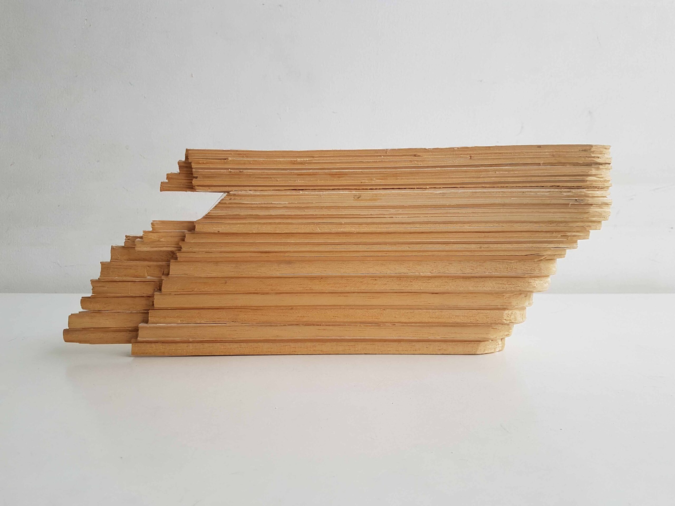 2_backflat