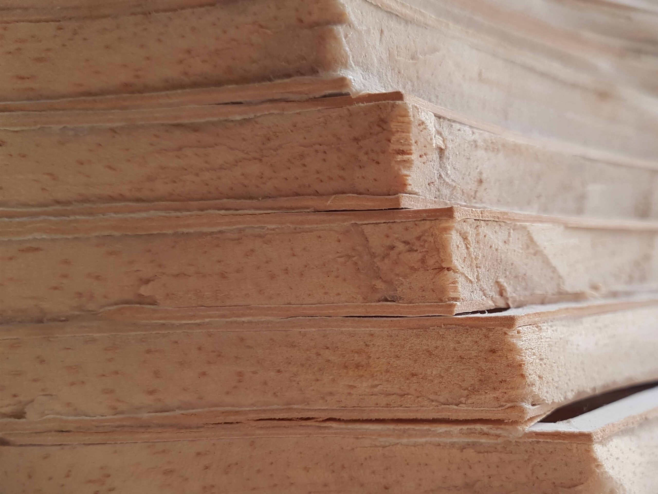 detail_close_up